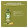 Vatika Olive Hair Oil 500ml