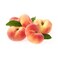 Flat Peach