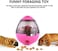 Vsell24 Cats And Dogs Interactive Food Dispensing Tumbler Treat Dispensing Toy Self Food Feeder For Small Medium Pets