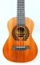 Mike Music 26 inch Concert Mahogany Ukulele with Gig Bag, Satin Natural (26 inch, Satin Natural)