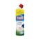 Clorox Mint Freshness Beach Gel and Cleaner 750ml