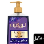 Buy Lux Antibacterial Liquid Handwash Glycerine Enriched Magical Orchid For All Skin Types 250ml in Saudi Arabia