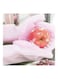 Generic Silicone Dishwashing Gloves Pink 36&Atilde;&mdash;8&Atilde;&mdash;18cm