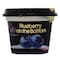 Bio Fob Blueberry Yogurt 150ml x Pack of 2