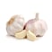 Garlic India