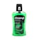 Closeup Antibacterial Mouthwash Nature Boost With Cardamon &amp; Basil 500ml