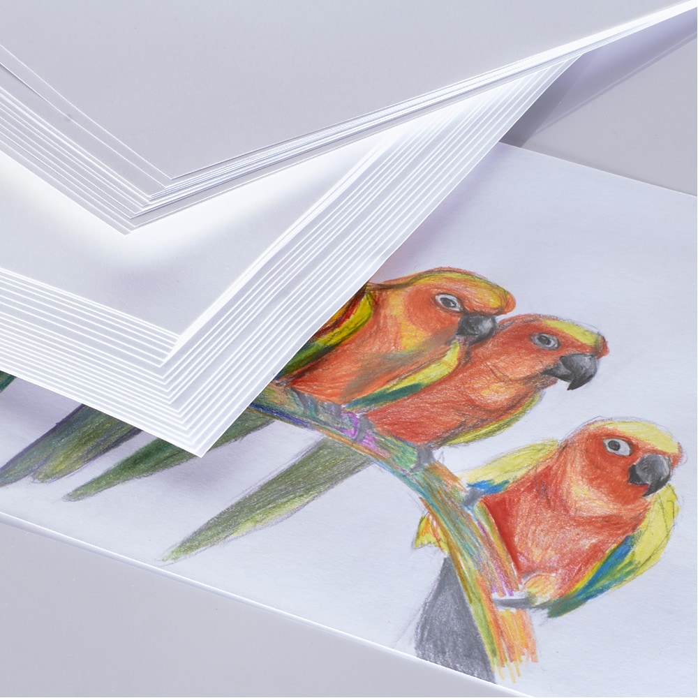Buy Specialist Crafts Premium Cartridge Paper 140gsm A1 Sheet Online ...