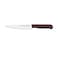 Tramontina Since 1911, Made In Brazil Professional 6 Inches Meat Knife With Stainless Steel Blade And Brown Polypropylene Handle With Antimicrobial Protection