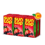 Buy Suntop Berry Mix Juice 250ml Pack of 6 in UAE