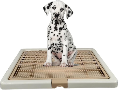Dog Toilet for Training, dog potty training, Indoor Outdoor, Keep paws and floor clean, Small breed dog Toilet with tray, Portable, Easy To Clean, Reliable, Beige &amp; Brown Colors, Small 66 Cm Length