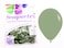 Sempertex 50 pcs,12" Round Balloons, Fashion Eucalyptus