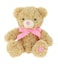 18cm Keeleco Bramble Bear with Pink Heart &amp; Ribbon