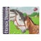 Depesche (007820) Horses Dreams Coloring Book