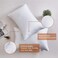 Comfy Set of 2 Hotel Quality Stripe Pillow - White