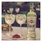 Martini Bianco Vermouth Wine 1L